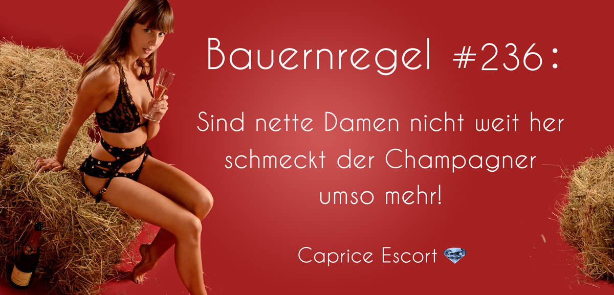 Escort Service München, Nürnberg, Augsburg, Würzburg High Class Escort Bayern